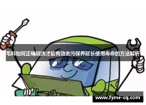 毛料如何正确刷洗才能有效去污保养延长使用寿命的方法解析